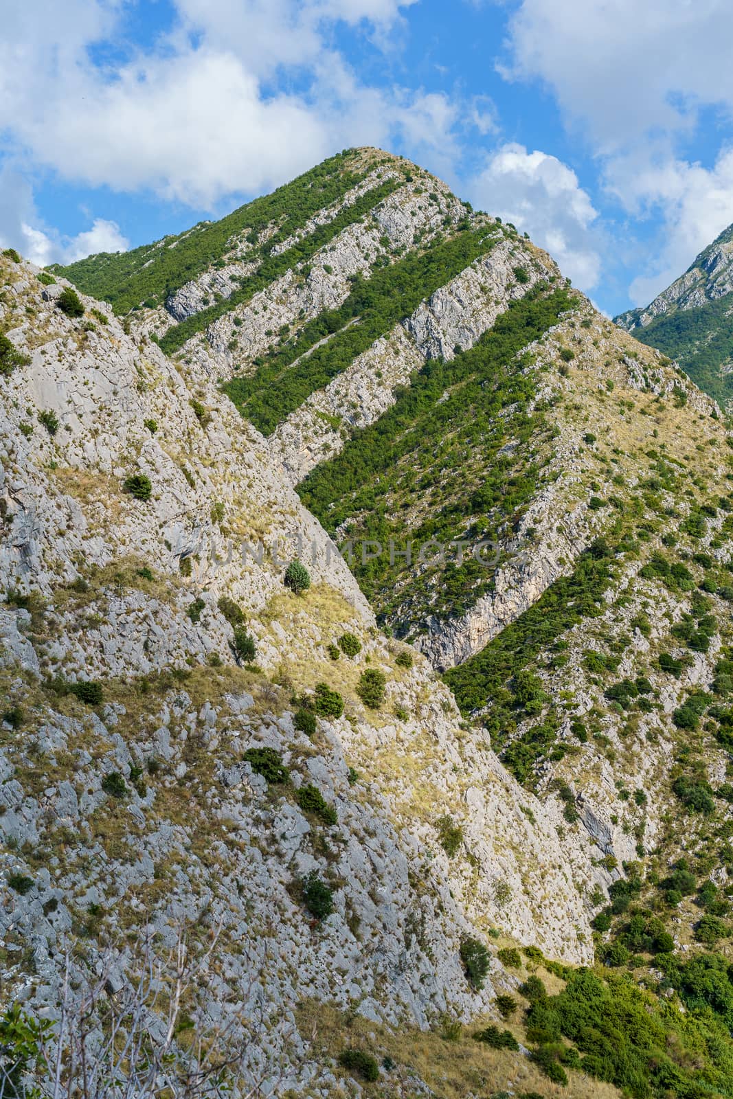 peaks and slopes of mountains covered with vegetation against a blue sky with clouds