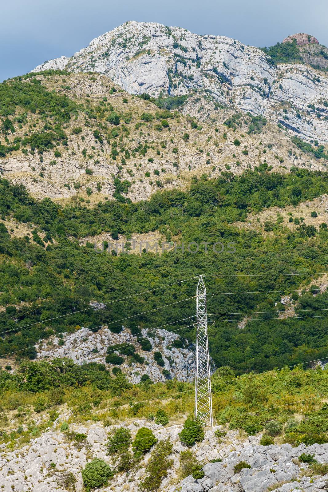 mountainside covered with vegetation and power transmission towers, sunny summer day