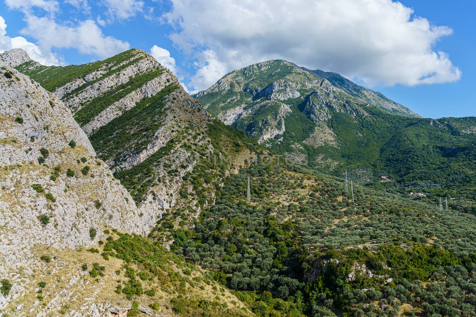 peaks and slopes of mountains covered with vegetation against a blue sky with clouds