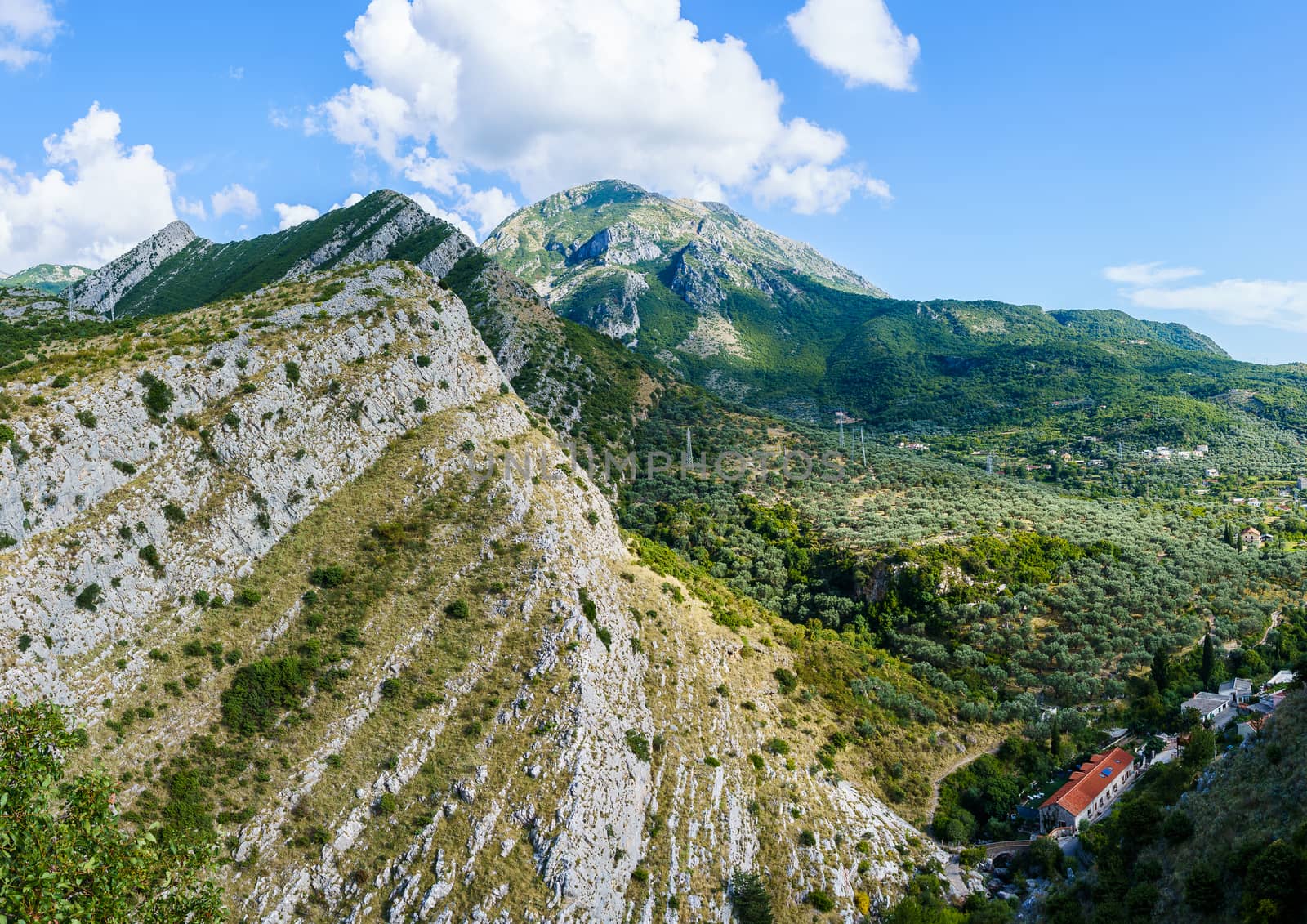 peaks and slopes of mountains covered with vegetation against a blue sky with clouds