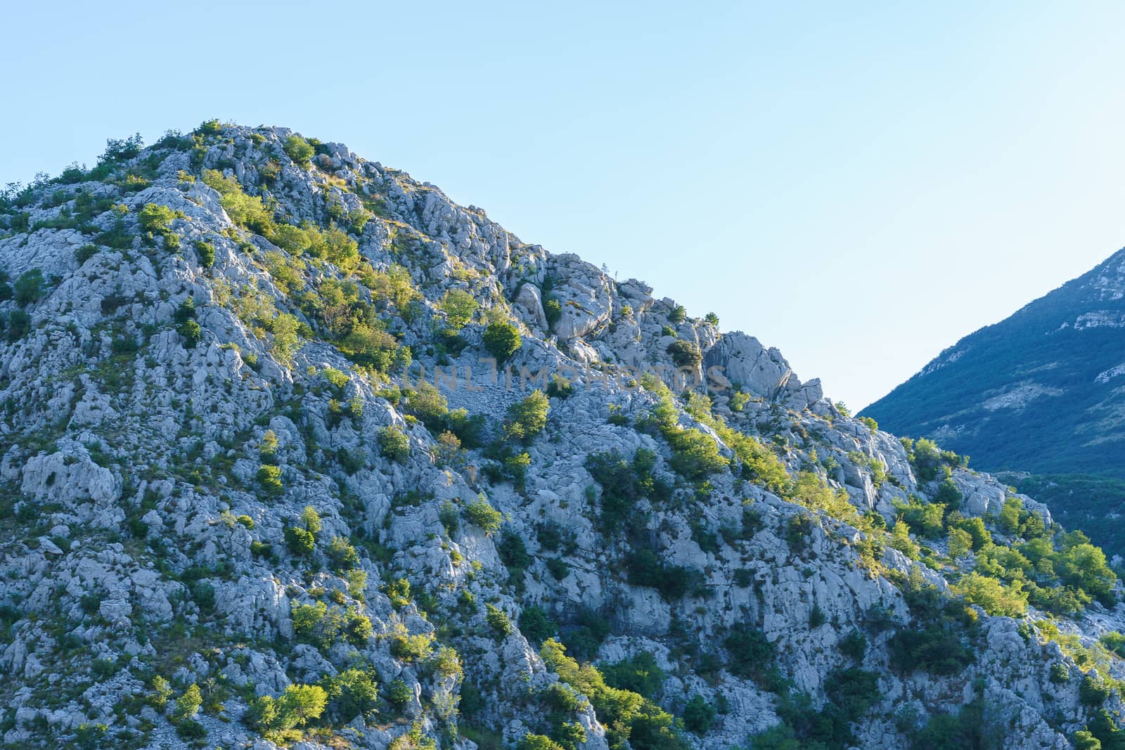 peak and slopes of mountains covered with vegetation against a blue sky 