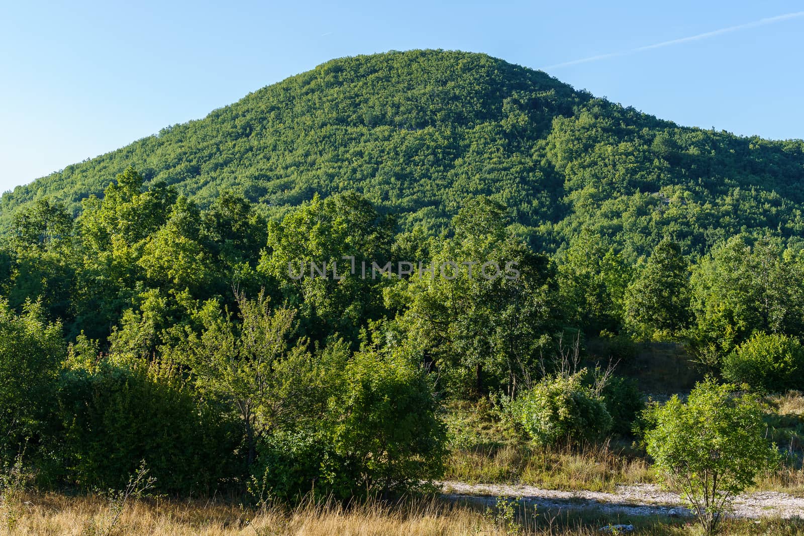 peak and slopes of mountains covered with vegetation against a blue sky 
