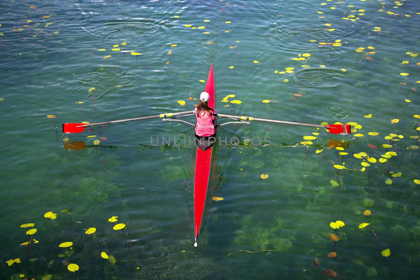 Woman Single sculls rower during the start of a rowing on the tranquil lake
