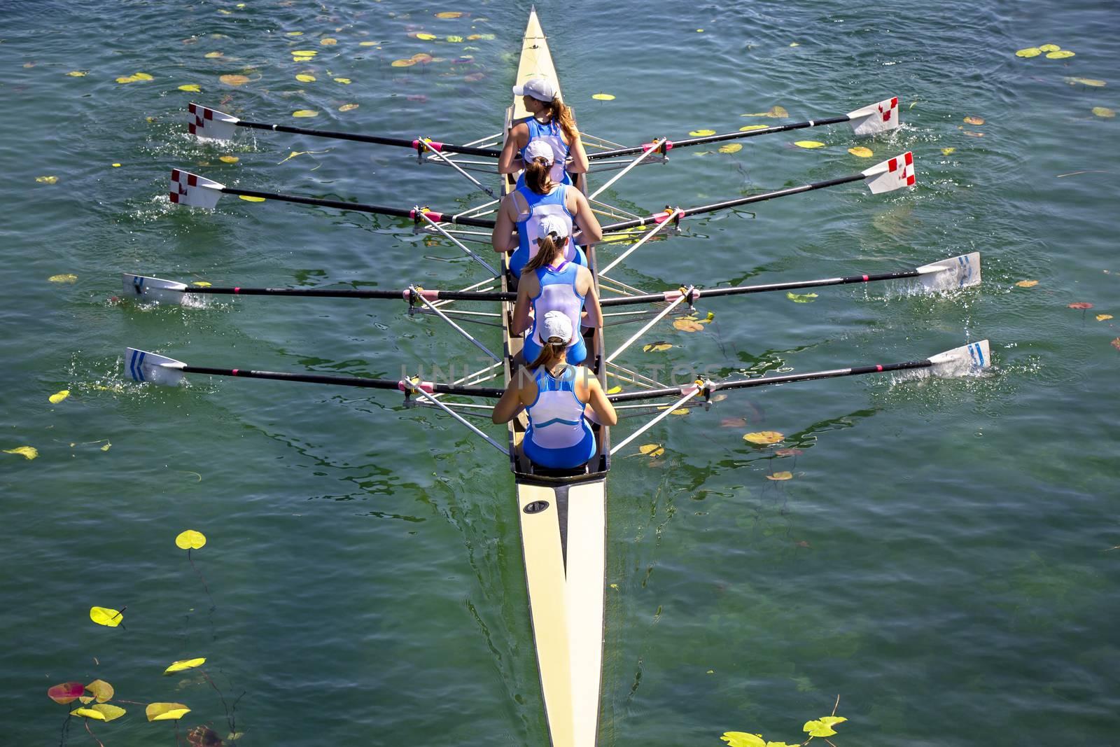 Women's quadruple rowing team on green lake by smuki