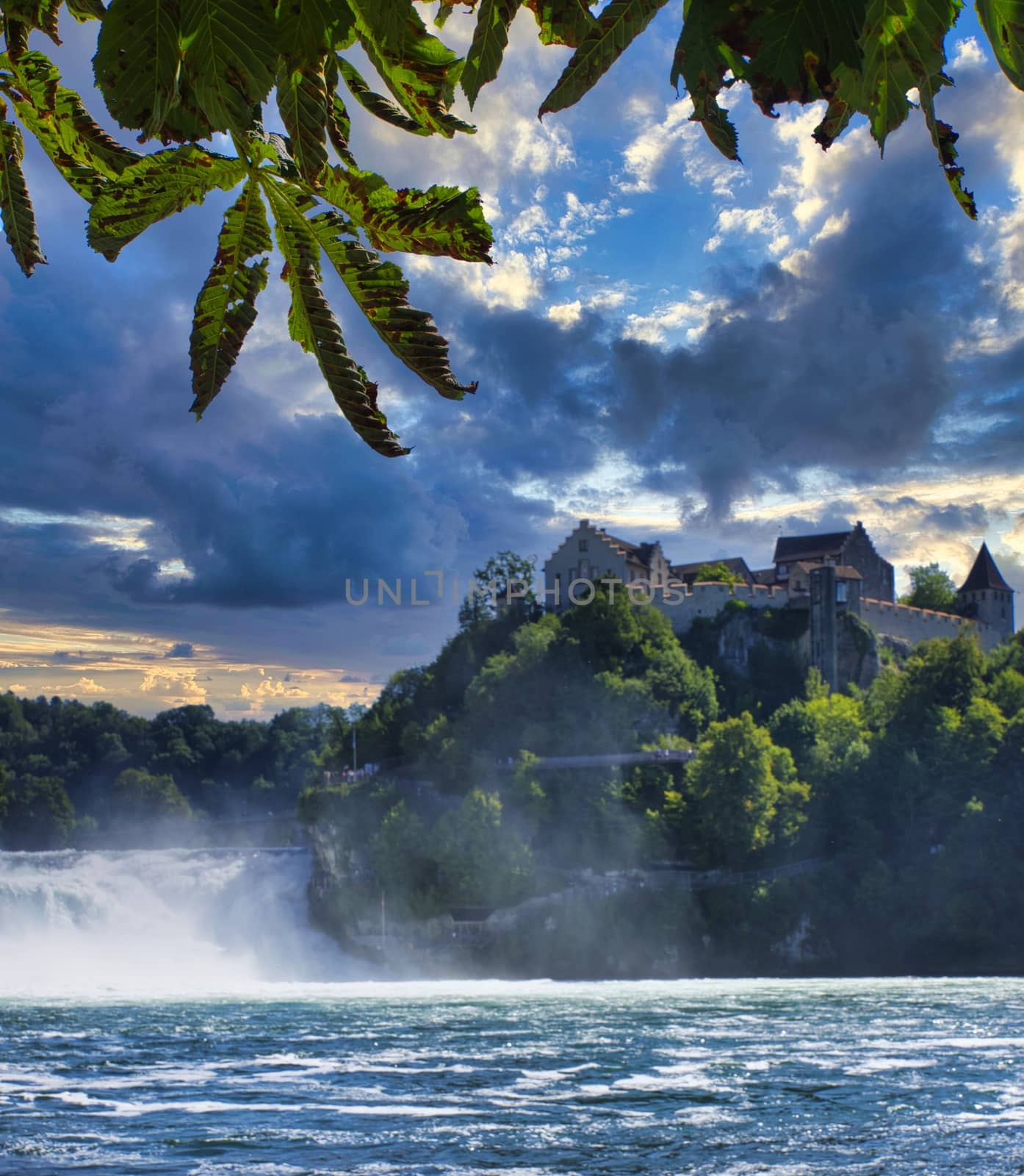 the famous rhine falls in the swiss near the city of Schaffhausen - sunny day and blue sky