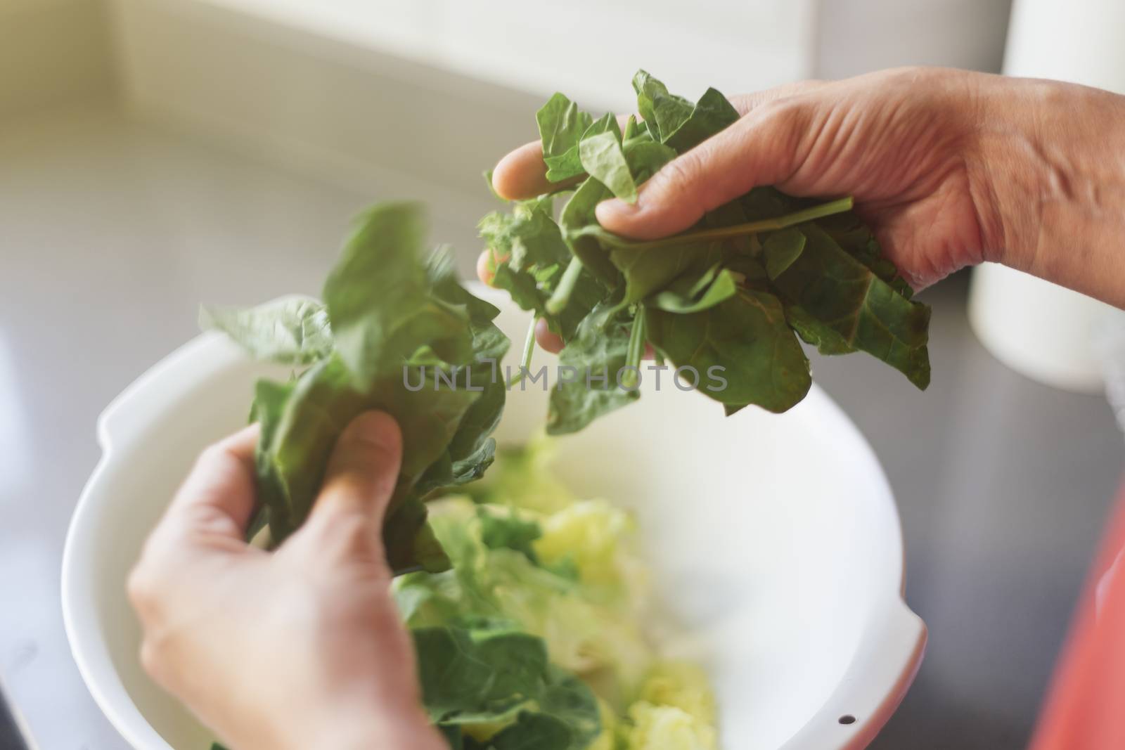 Woman cleaning lettuce and spinach for a healthy salad