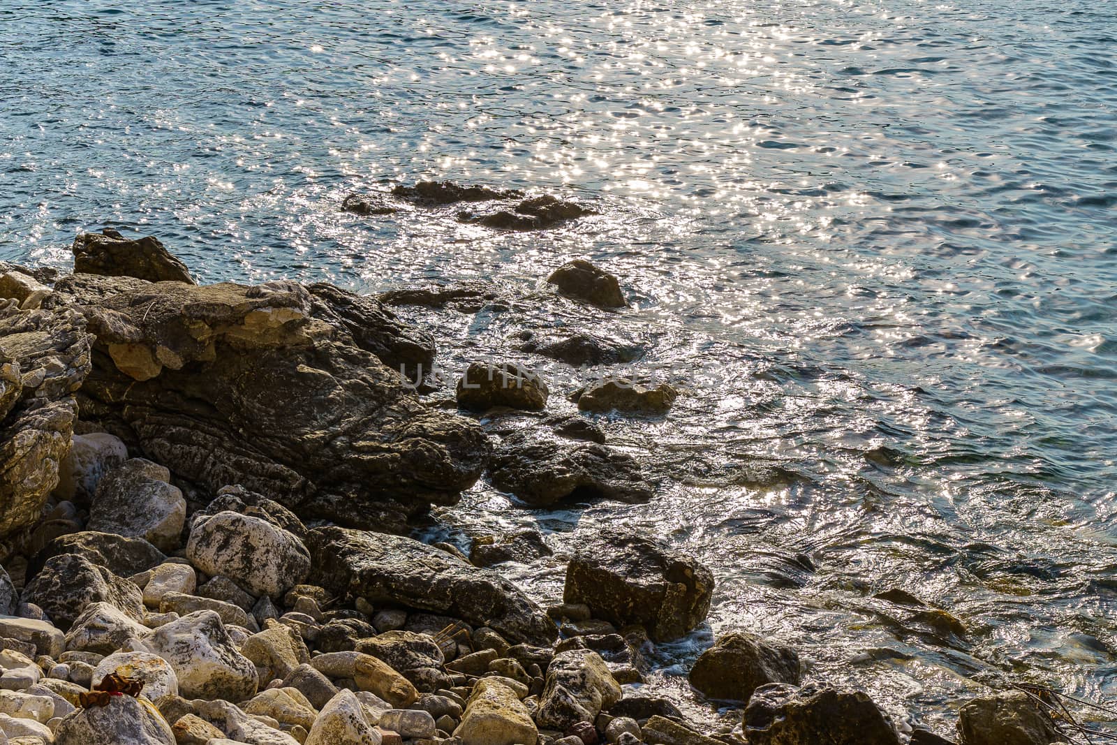 Sea shore. Stones and surf, summer day