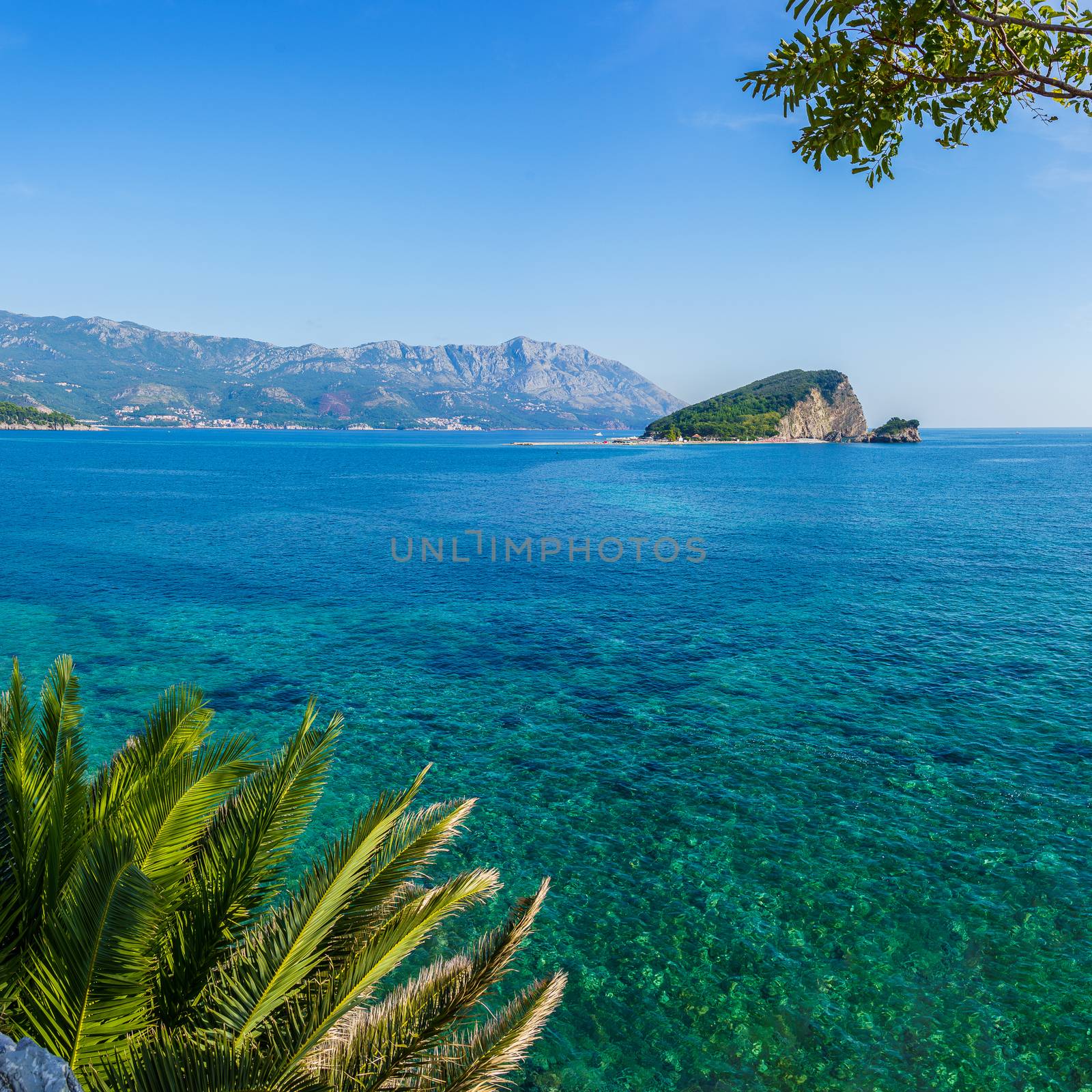 Island in the bay near the town of Budva framed by green palm leaves by VADIM