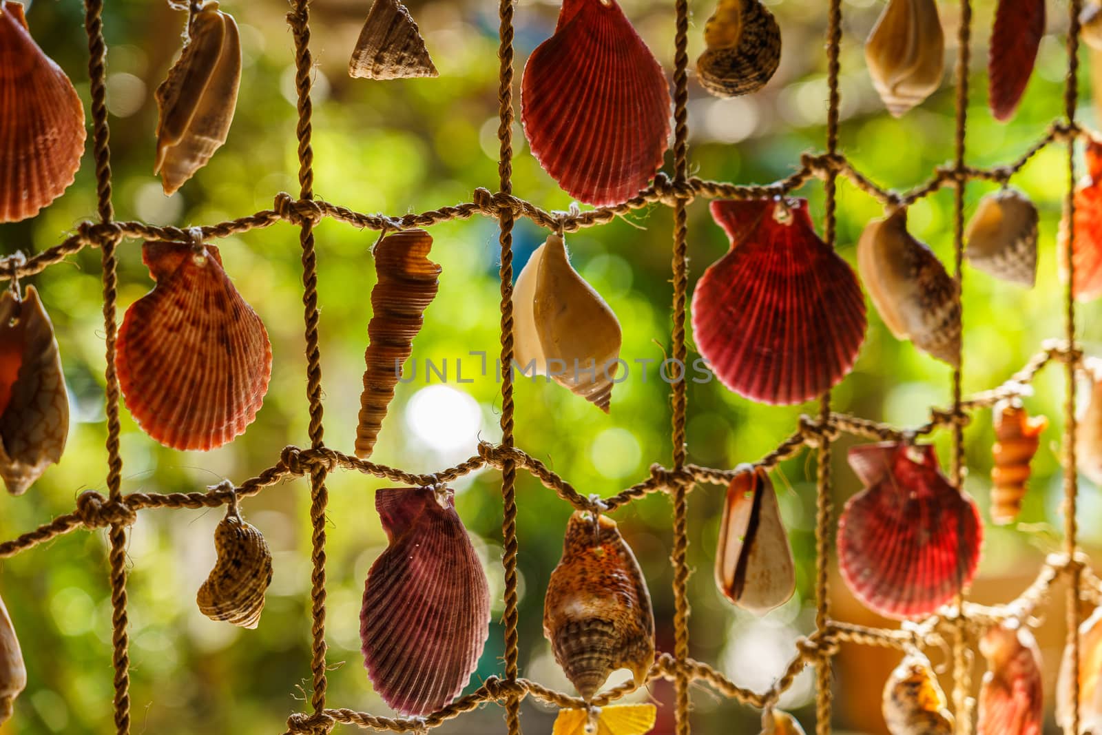 The element of the interior. Fishing net with shells braided into it, close-up.