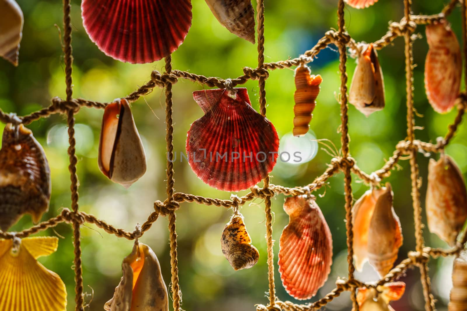 The element of the interior. Fishing net with shells braided into it, close-up.