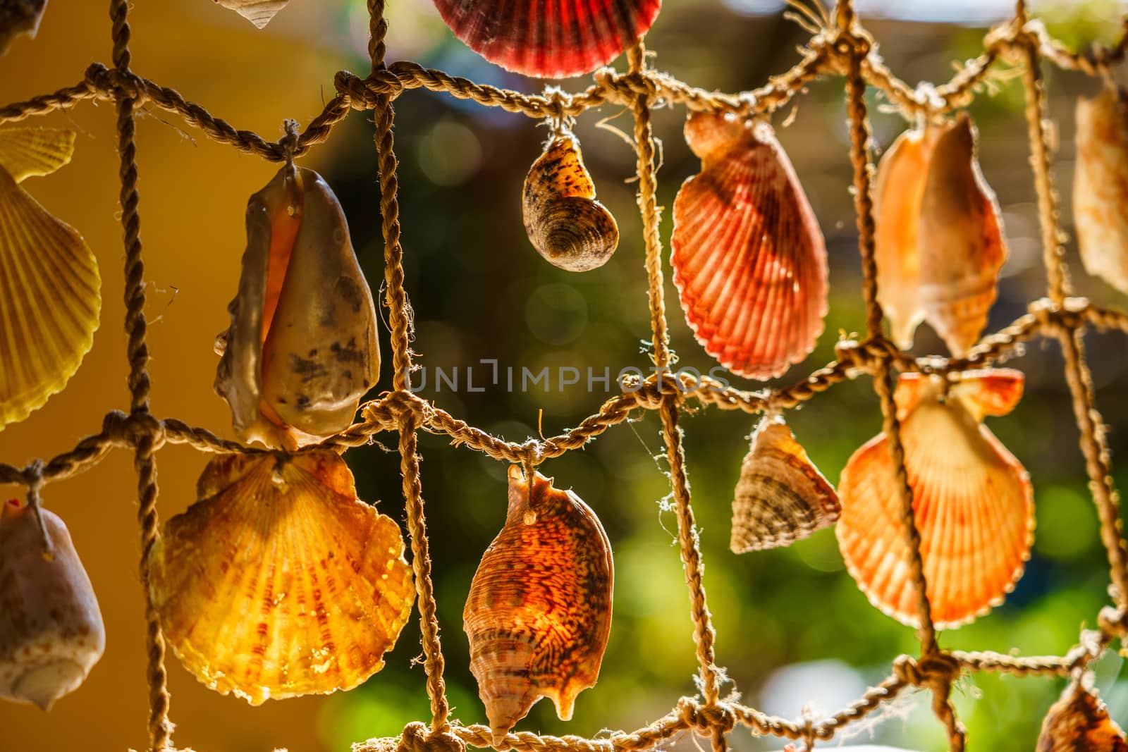 The element of the interior. Fishing net with shells braided into it, close-up.