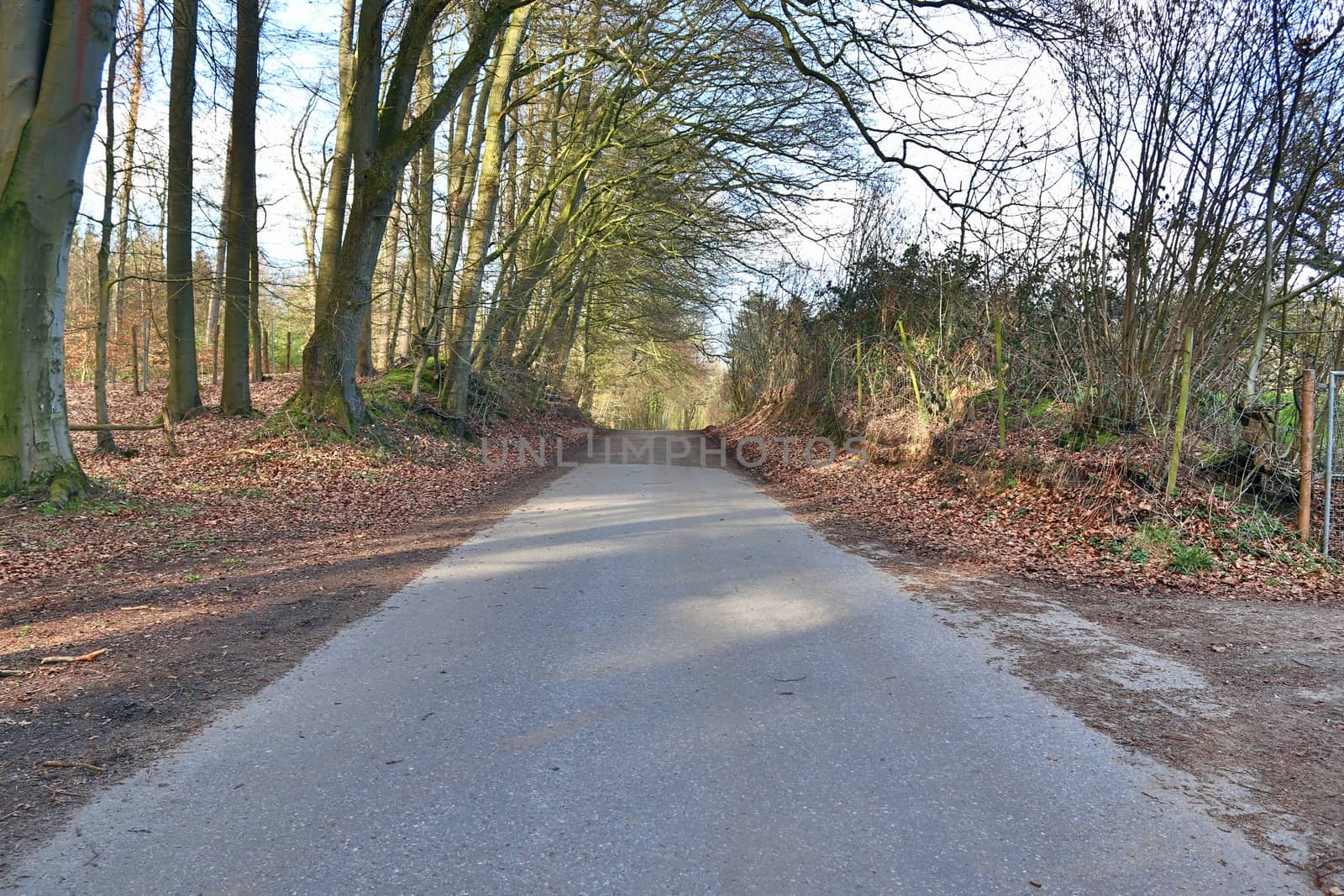 Beautiful view on countryside roads with fields and trees in northern europe.