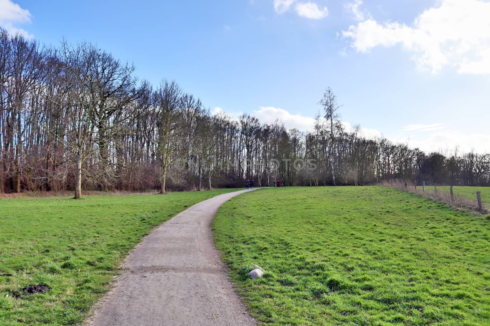 Beautiful view on countryside roads with fields and trees in northern europe.