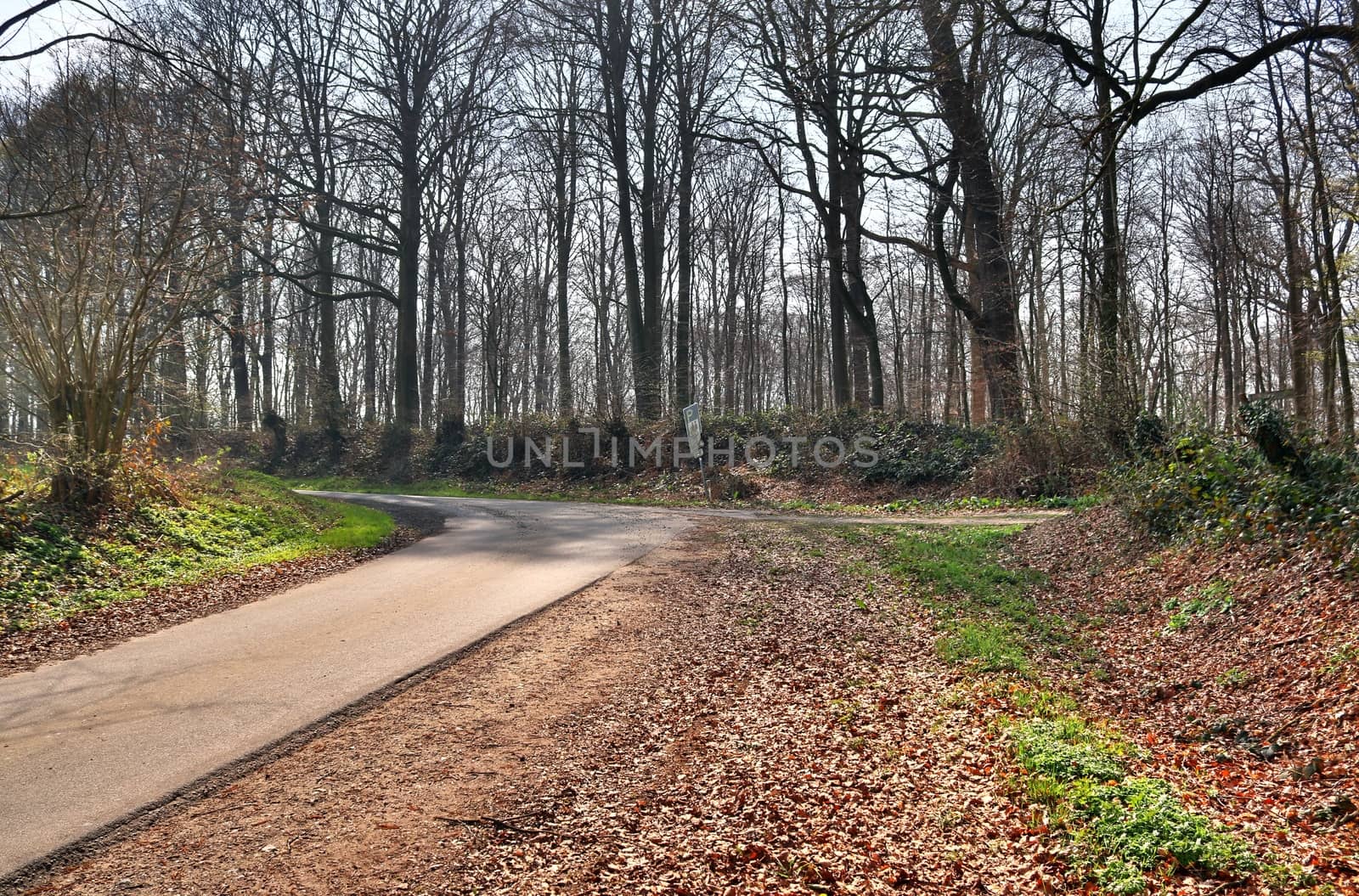 Beautiful view on countryside roads with fields and trees in northern europe.