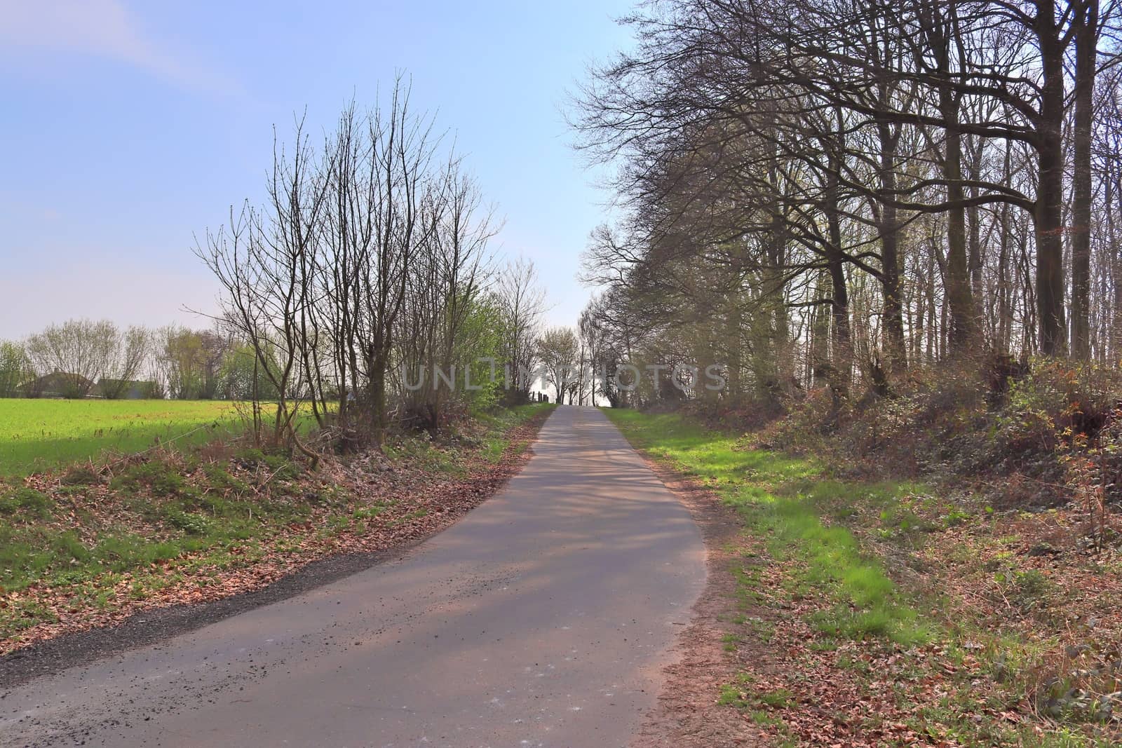 Beautiful view on countryside roads with fields and trees in northern europe.