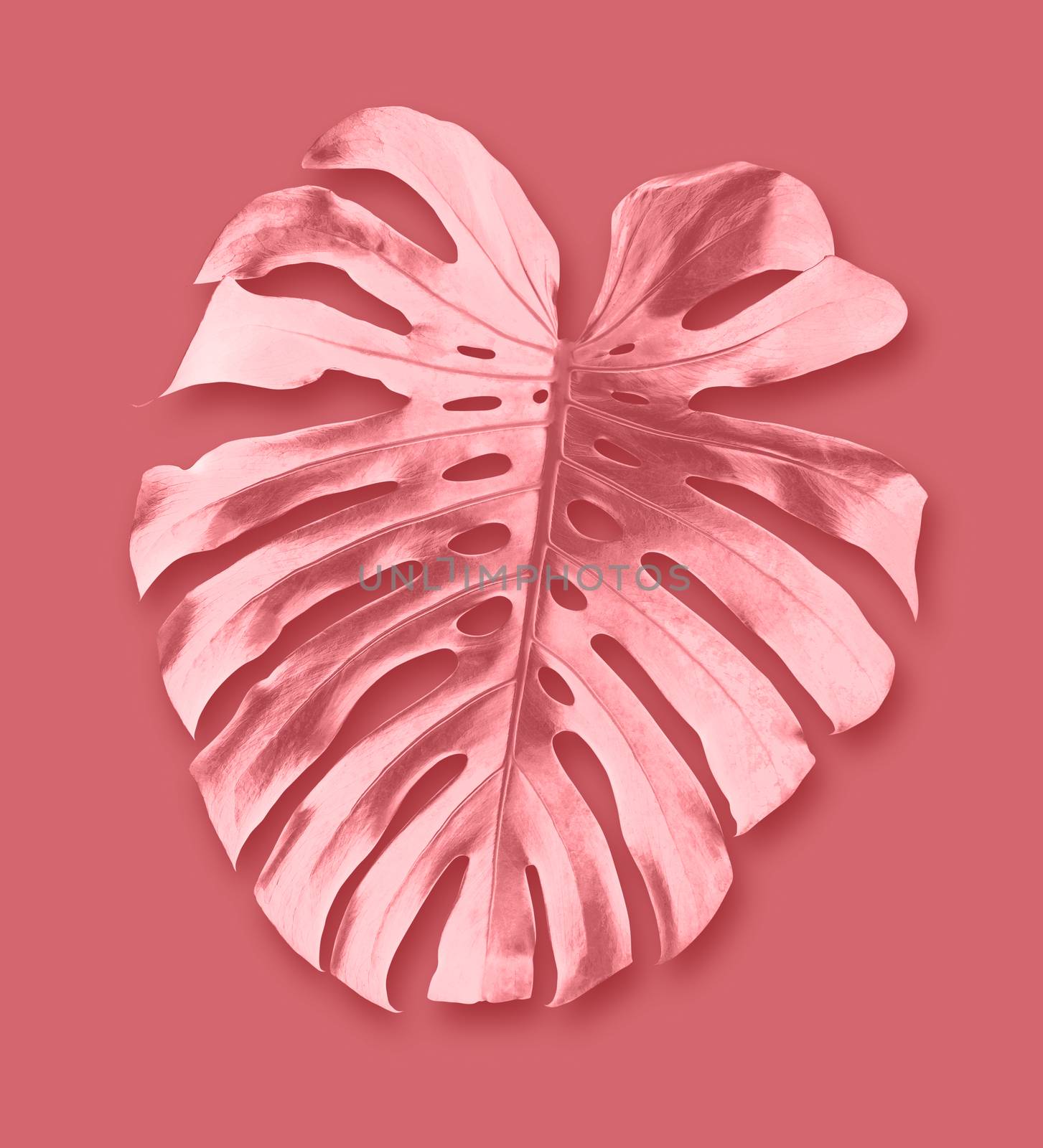 Tropical leaves Minimal summer by Myimagine