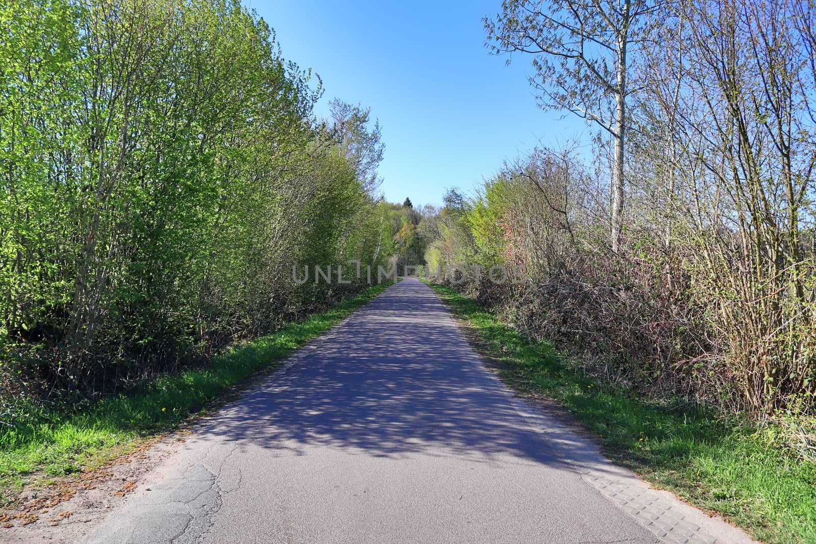 Beautiful view on countryside roads with fields and trees in northern europe.