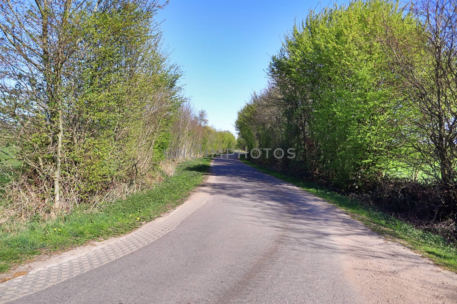 Beautiful view on countryside roads with fields and trees in northern europe.