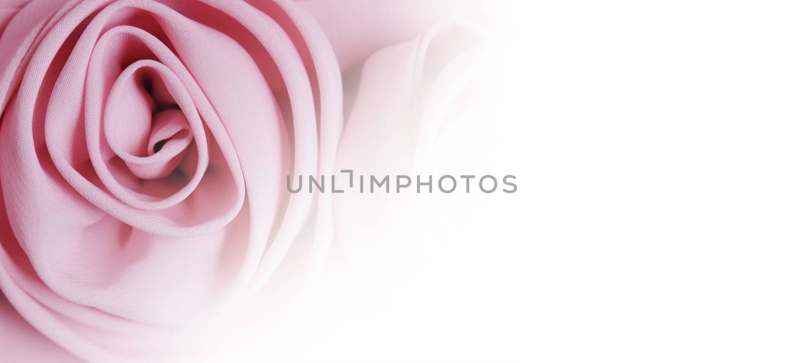 Fabric rose flower on white background