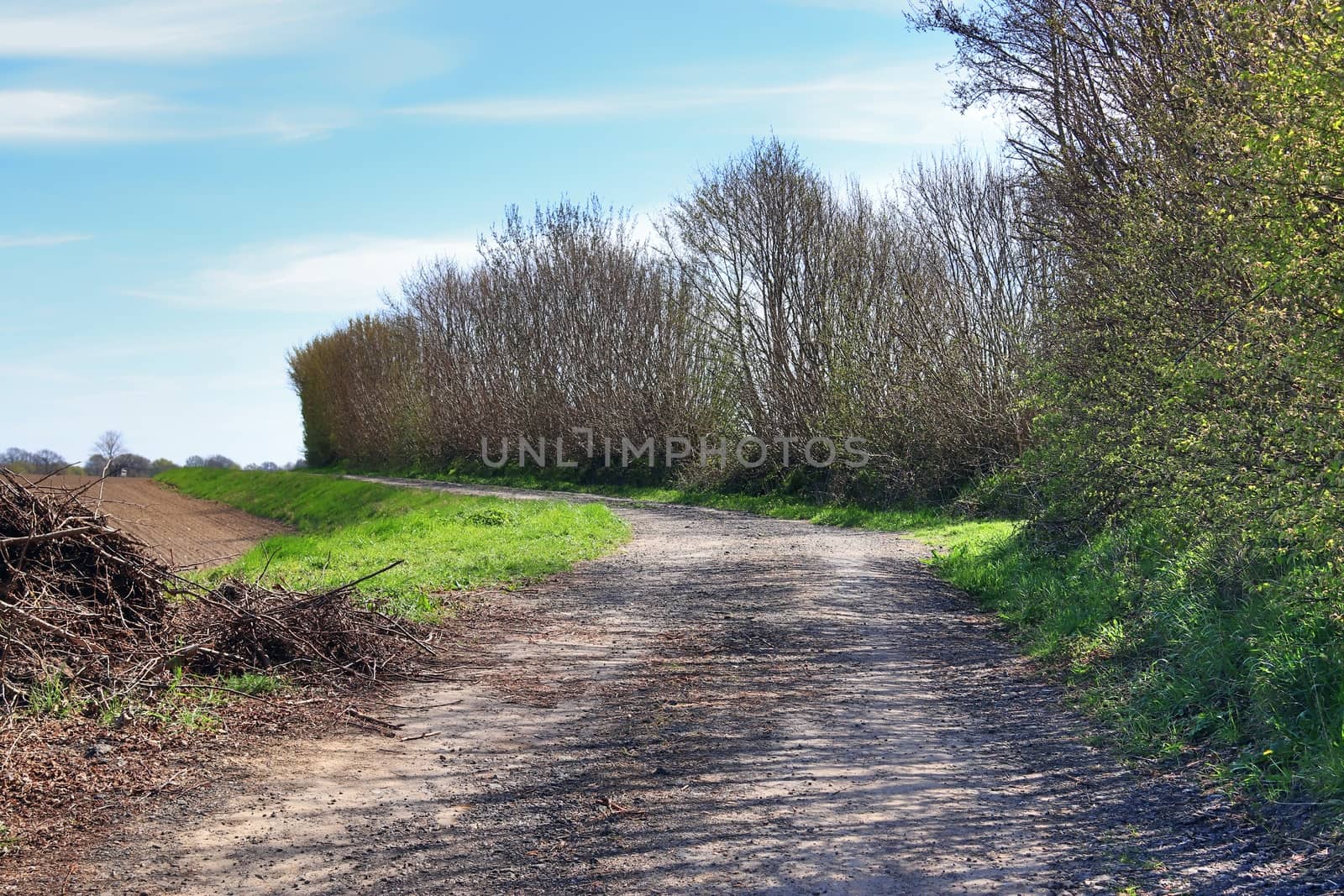 Beautiful view on countryside roads with fields and trees in northern europe.