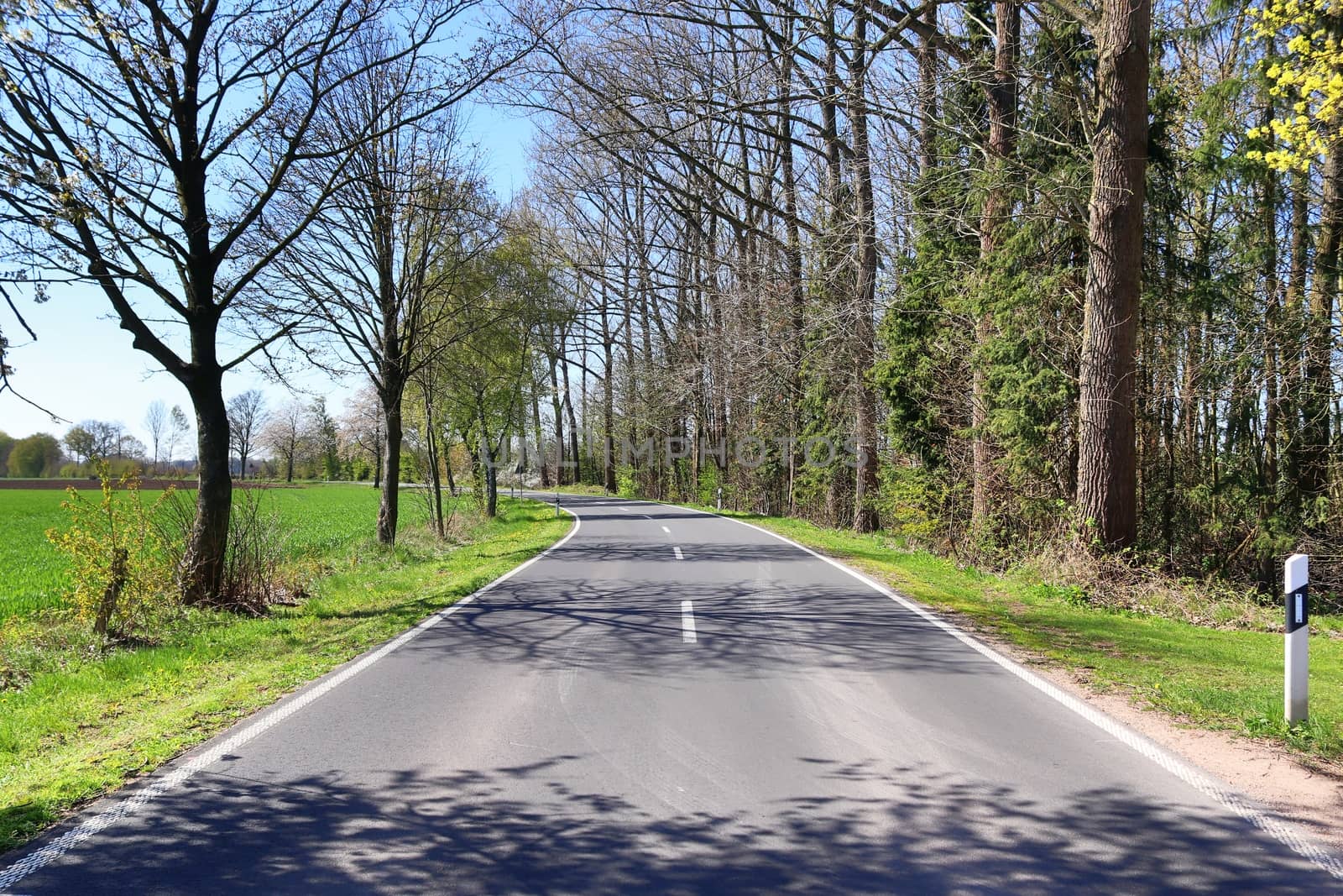 Beautiful view on countryside roads with fields and trees in northern europe.