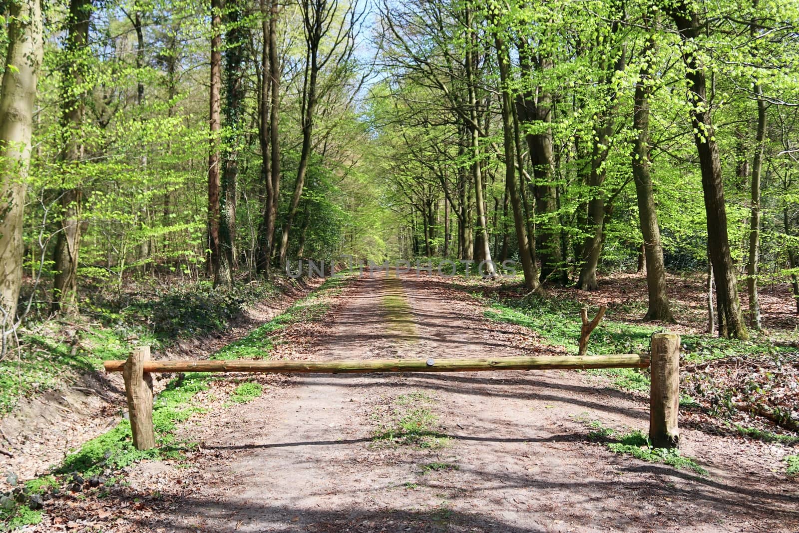 Beautiful view on countryside roads with fields and trees in northern europe.