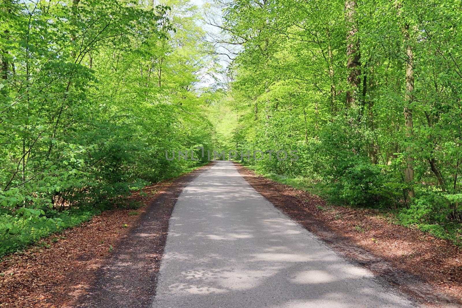 Beautiful view on countryside roads with fields and trees in northern europe.