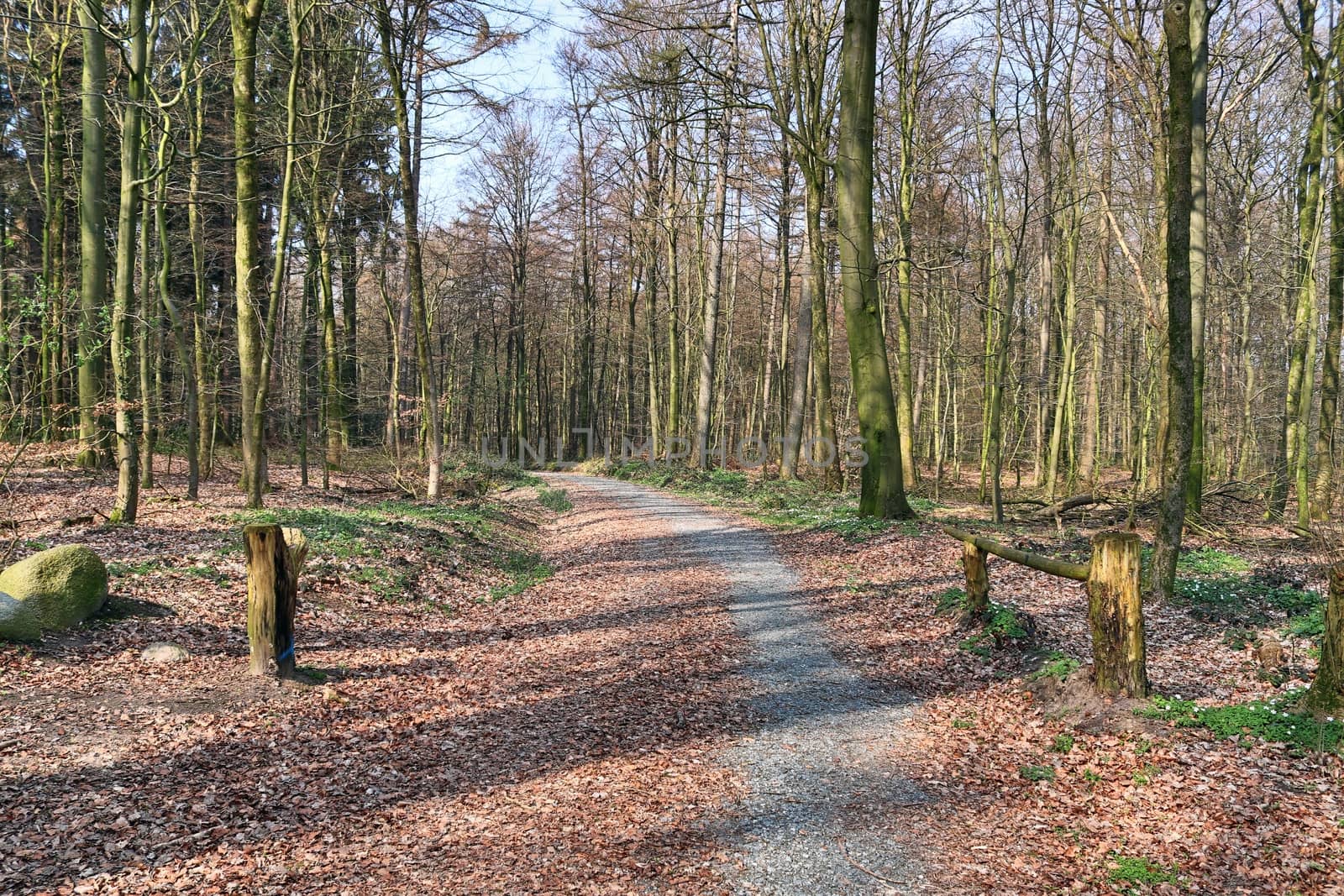 Beautiful view on countryside roads with fields and trees in northern europe.