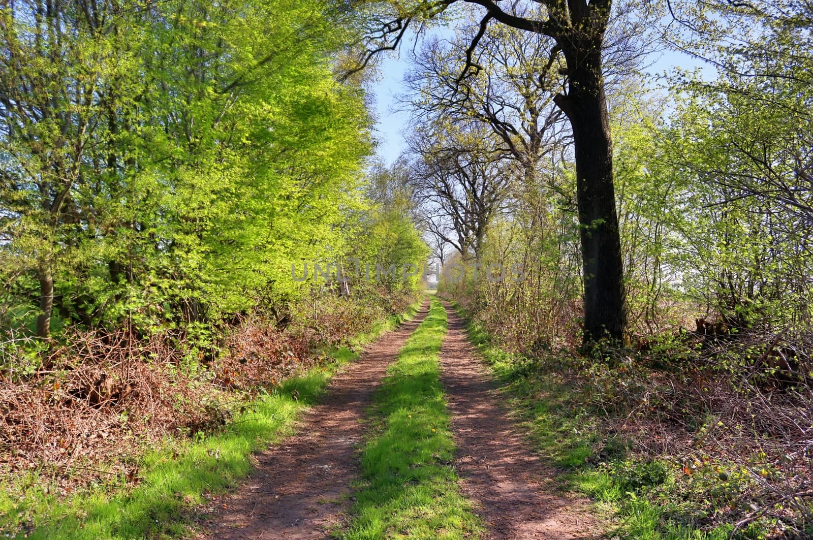 Beautiful view on countryside roads with fields and trees in northern europe.