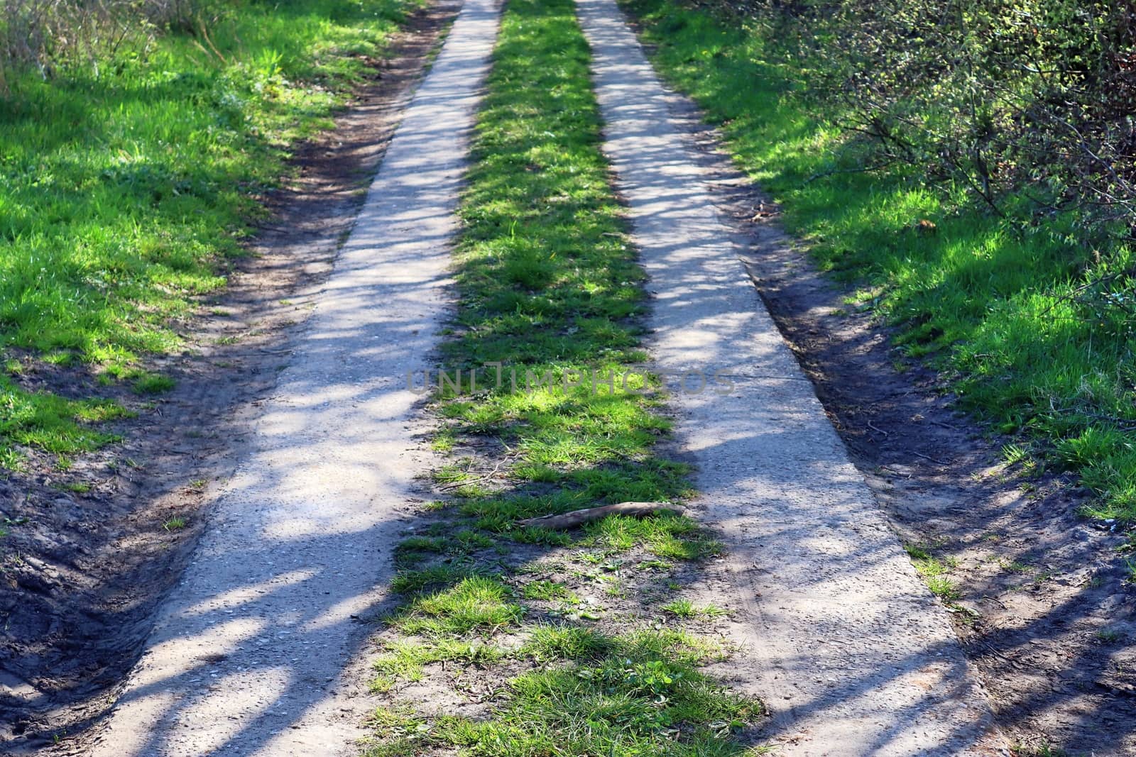 Beautiful view on countryside roads with fields and trees in northern europe.