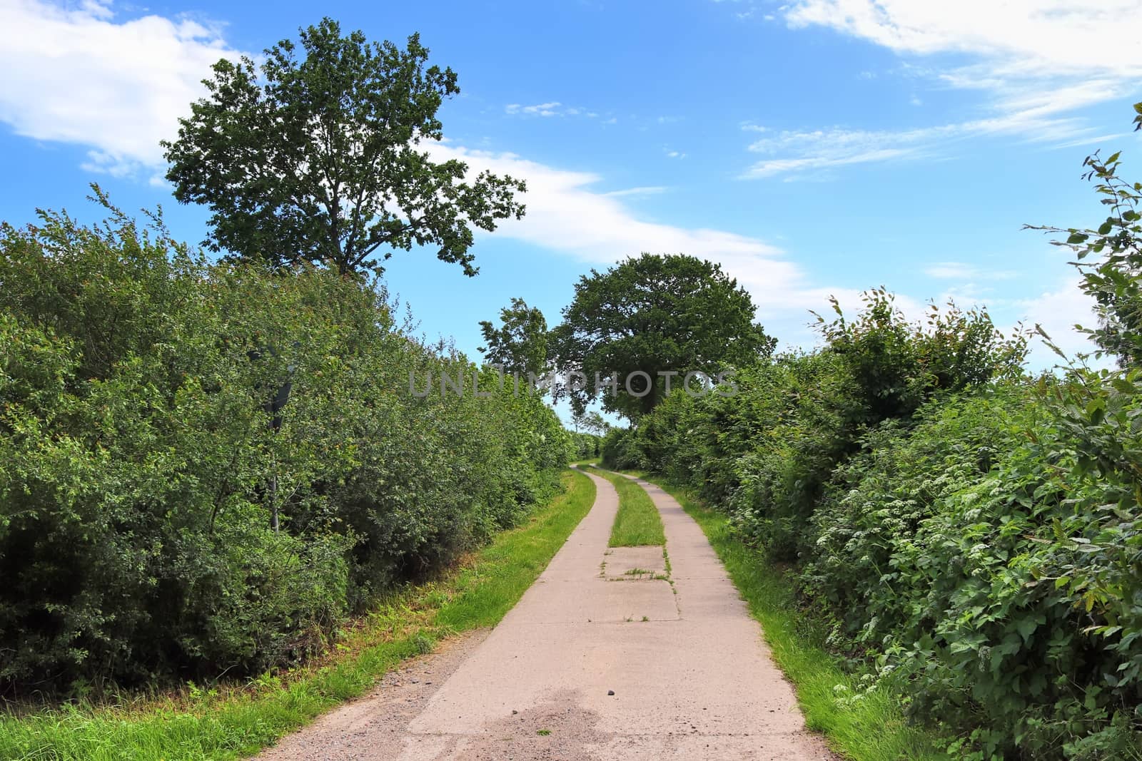 Beautiful view on countryside roads with fields and trees in northern europe.