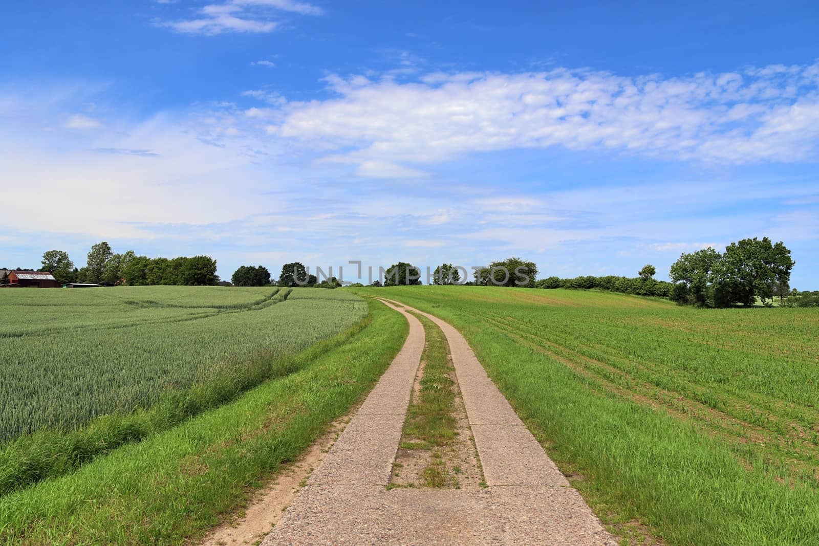 Beautiful view on countryside roads with fields and trees in northern europe.