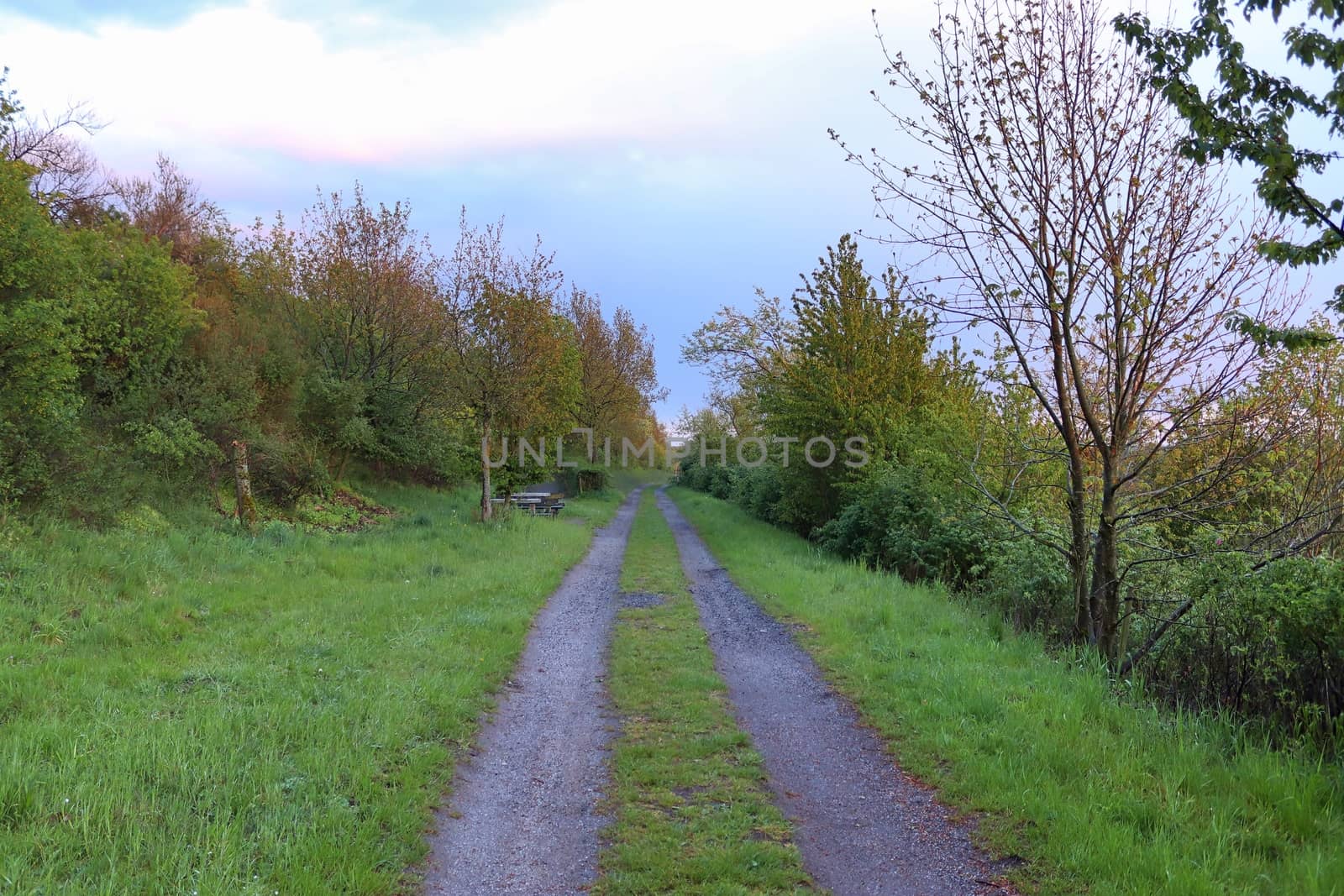 Beautiful view on countryside roads with fields and trees in northern europe.