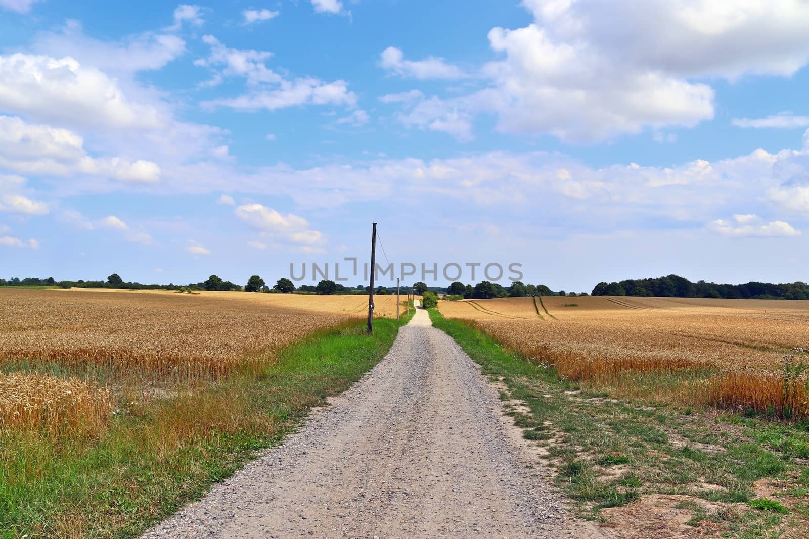 Beautiful view on countryside roads with fields and trees in nor by MP_foto71