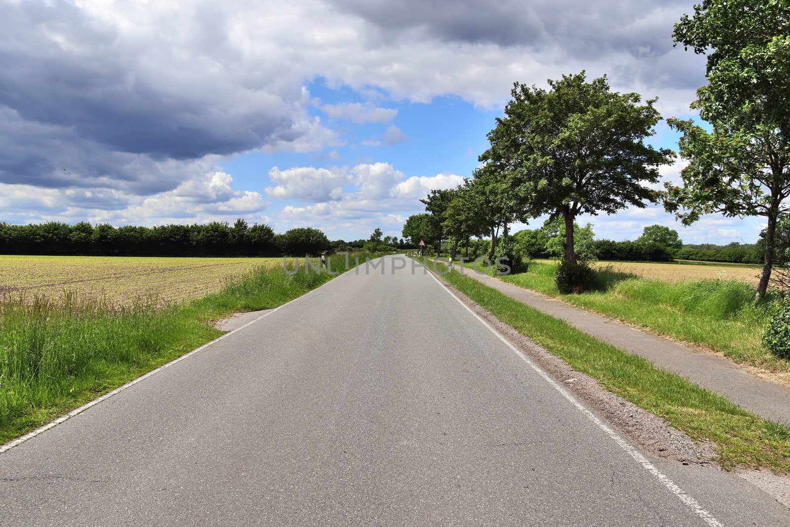 Beautiful view on countryside roads with fields and trees in nor by MP_foto71