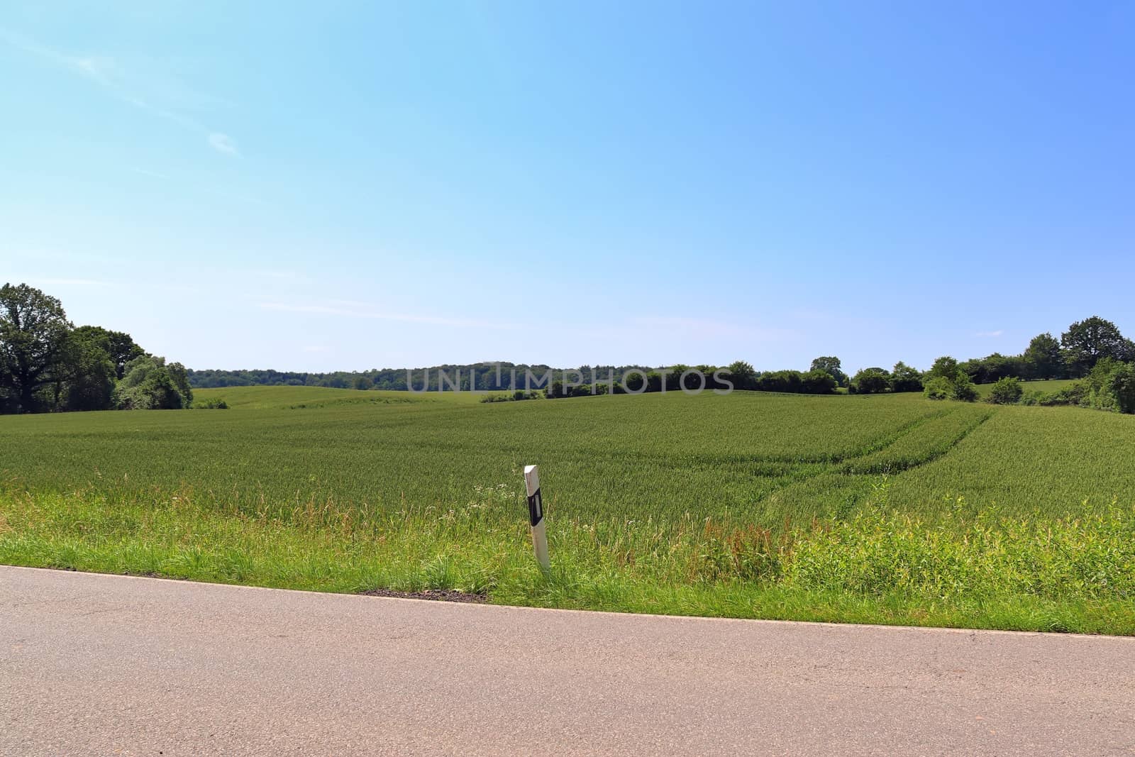 Beautiful view on countryside roads with fields and trees in northern europe.
