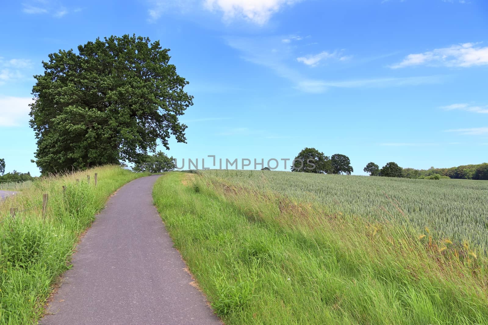 Beautiful view on countryside roads with fields and trees in nor by MP_foto71