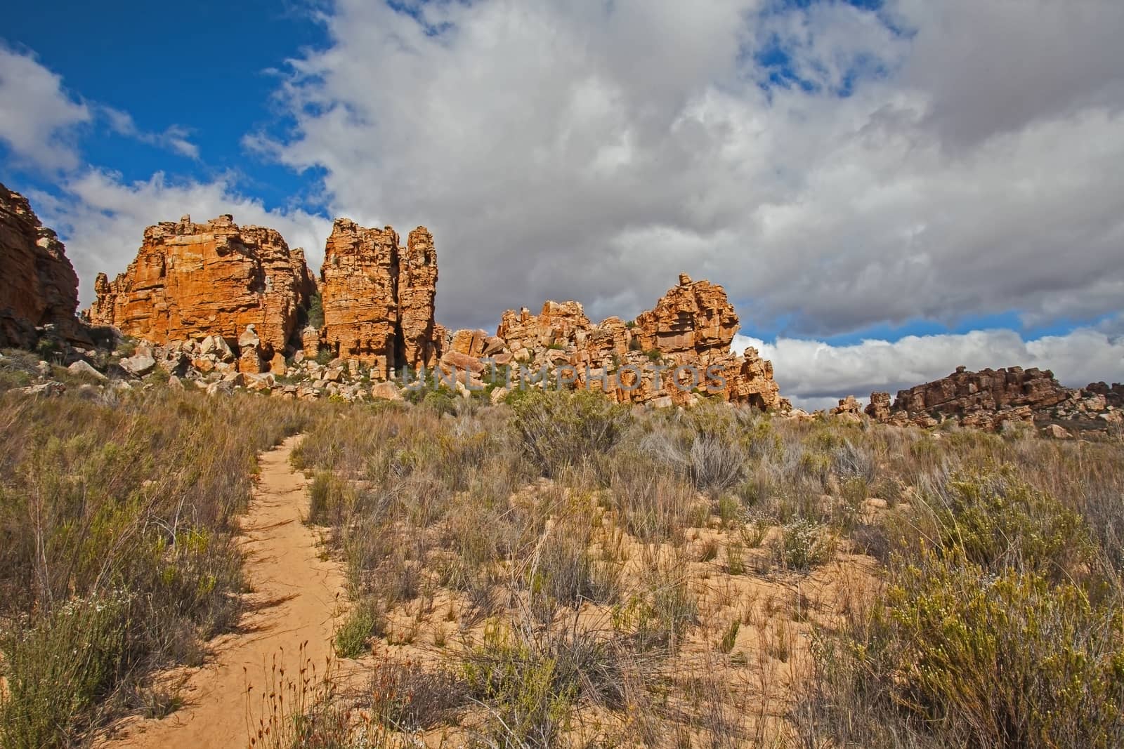 A scene of highly eroded sandstone formations in the Cederberg Wilderness Area, Western Cape. South Africa