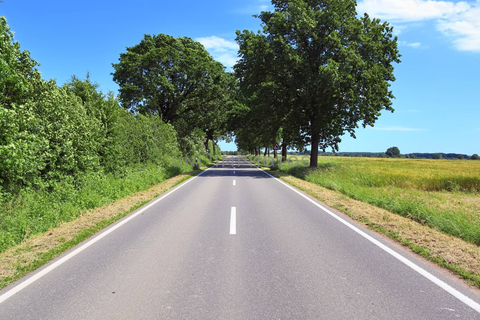 Beautiful view on countryside roads with fields and trees in nor by MP_foto71