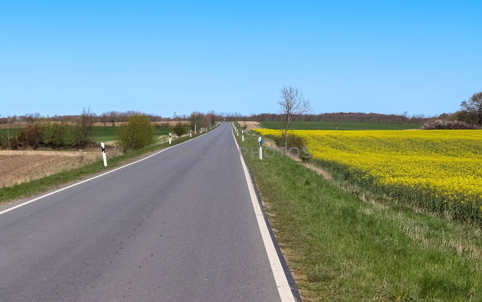 Beautiful view on countryside roads with fields and trees in nor by MP_foto71