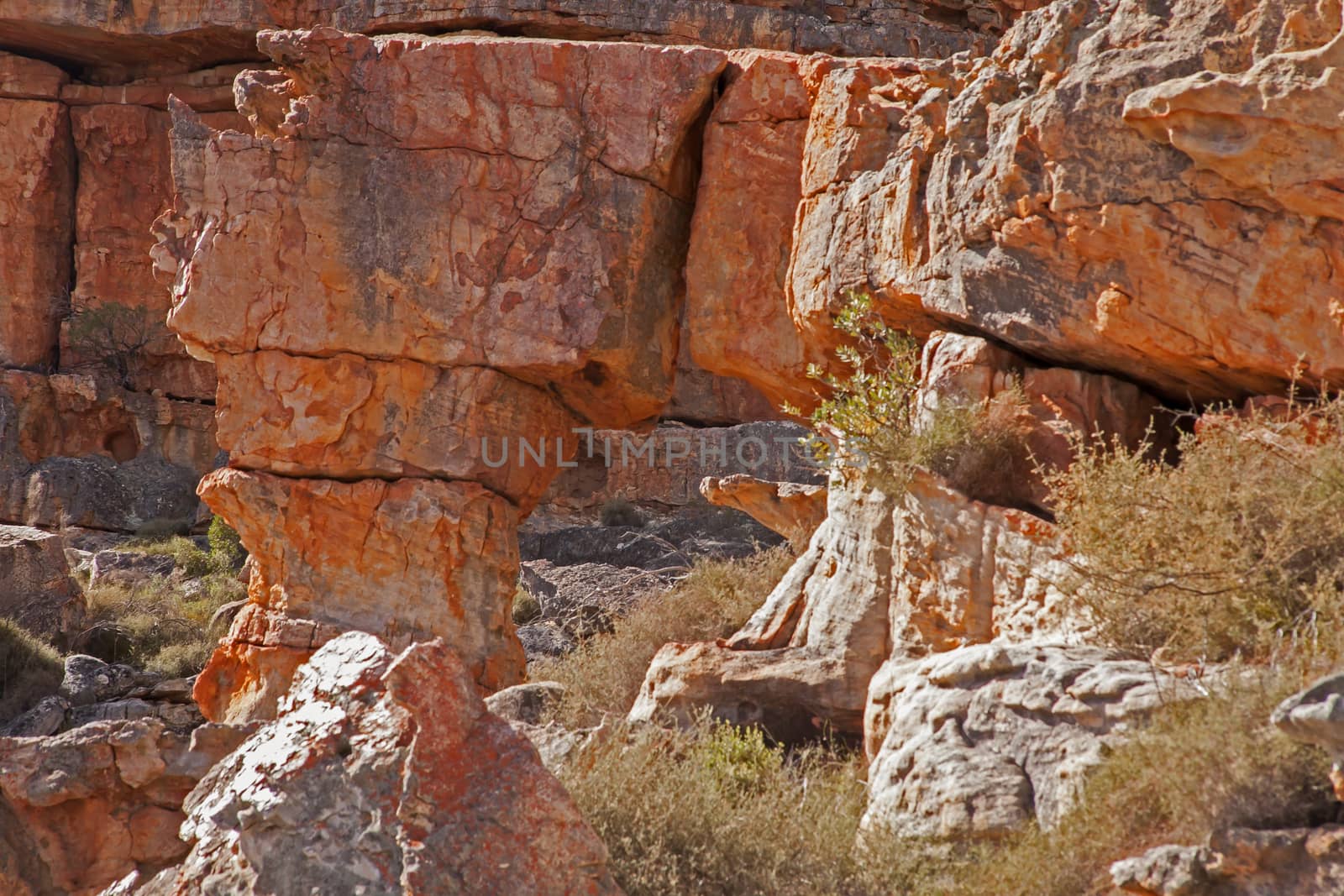 Cederberg Mountain Wilderness Area Scene 12957 by kobus_peche