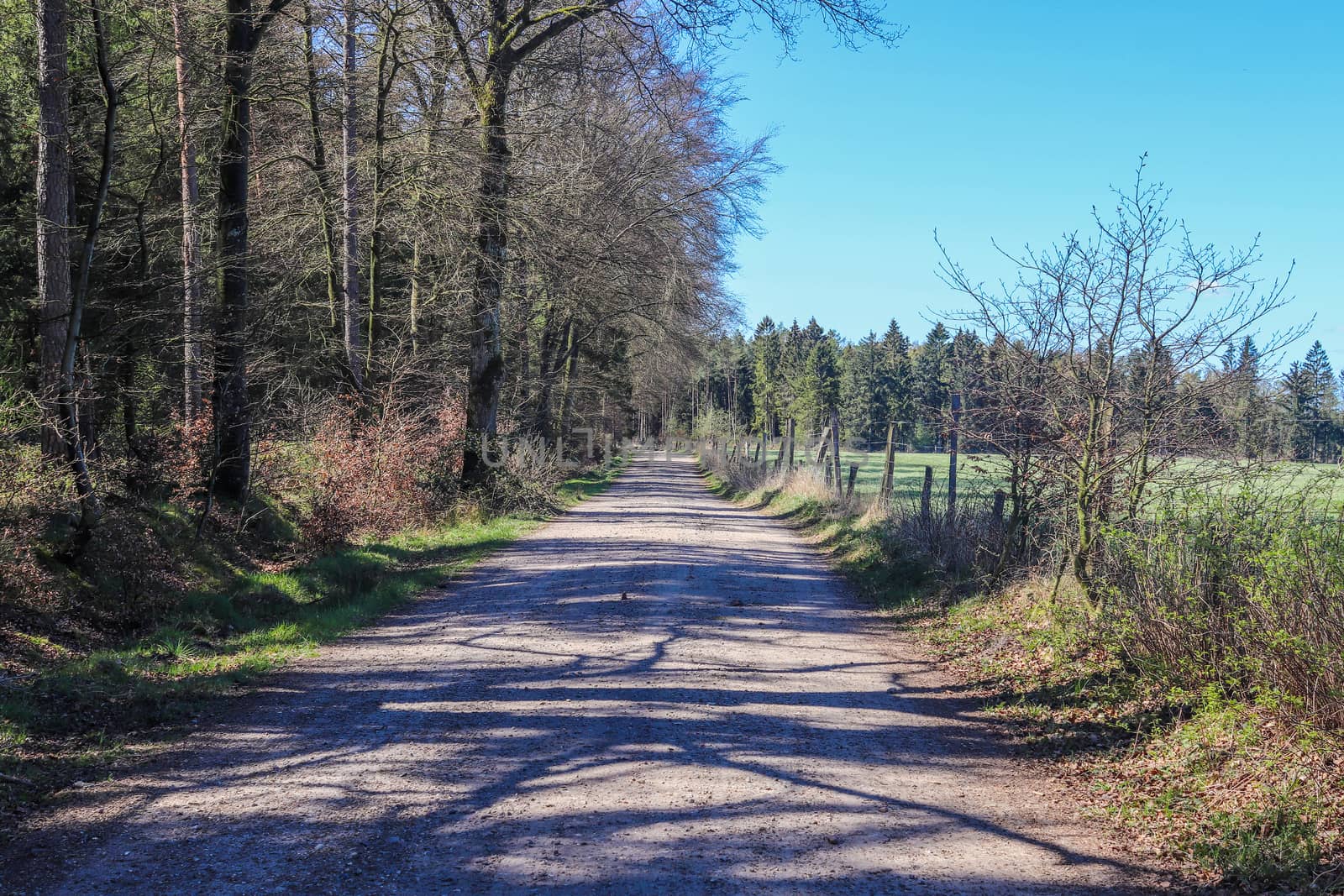 Beautiful view on countryside roads with fields and trees in northern europe.