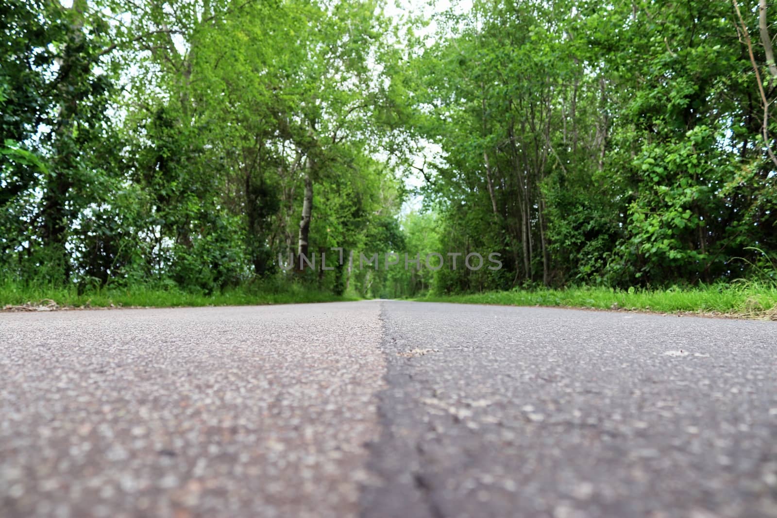 Beautiful view on countryside roads with fields and trees in northern europe.