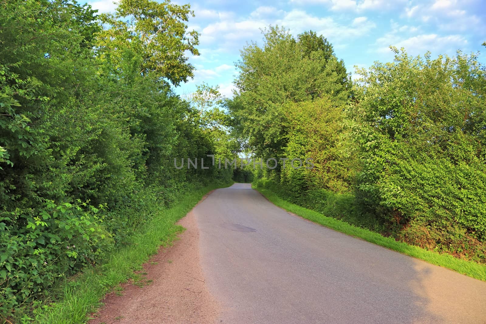 Beautiful view on countryside roads with fields and trees in northern europe.