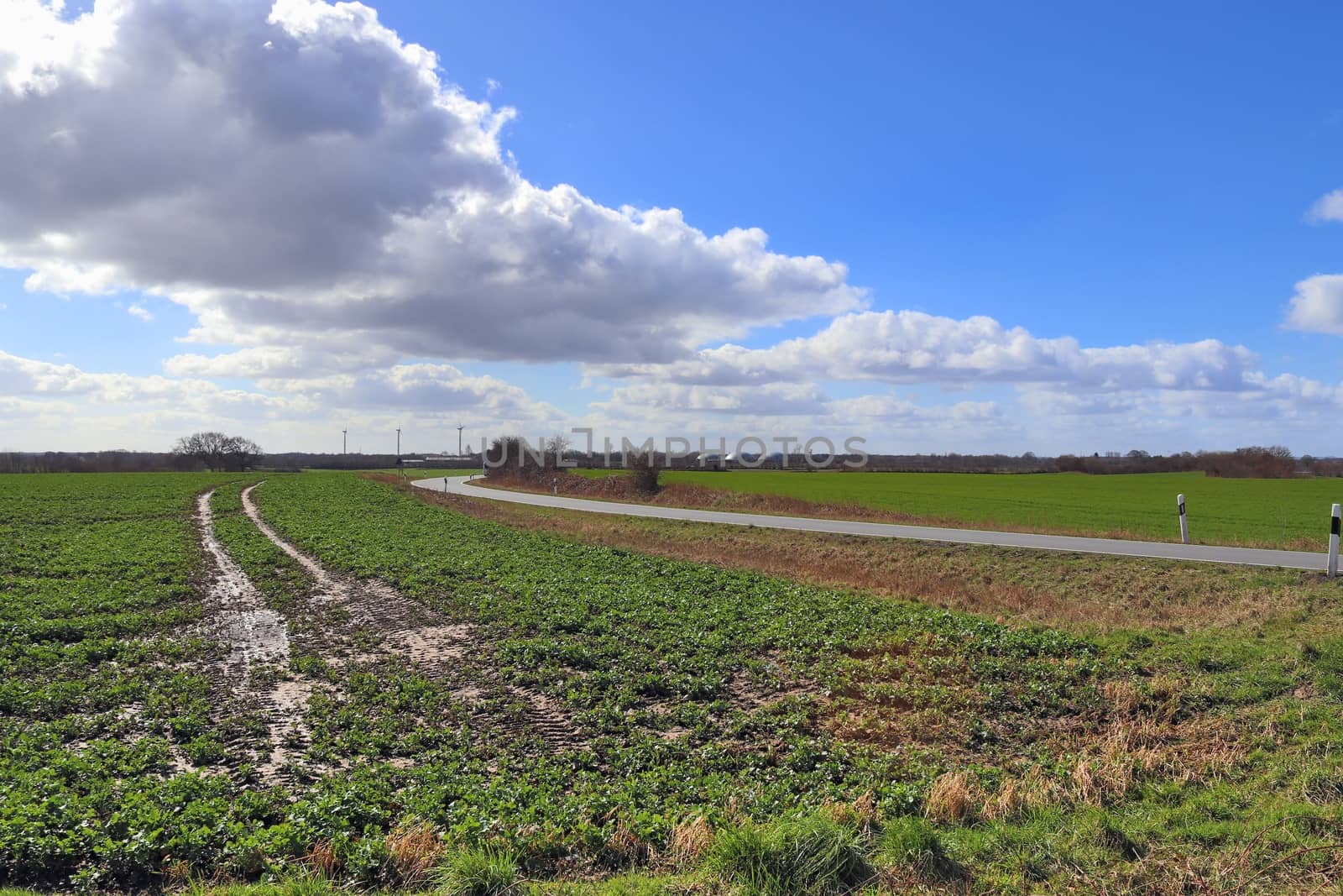 Beautiful view on countryside roads with fields and trees in nor by MP_foto71