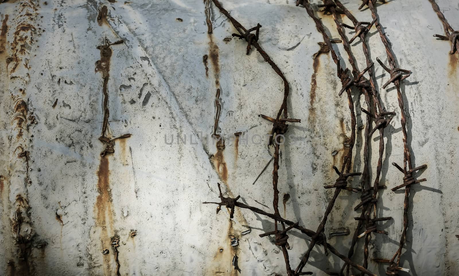 Barbed wire on grunge metal background