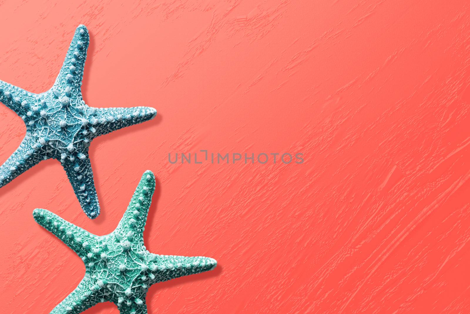 Starfish on living coral texture background with copy space