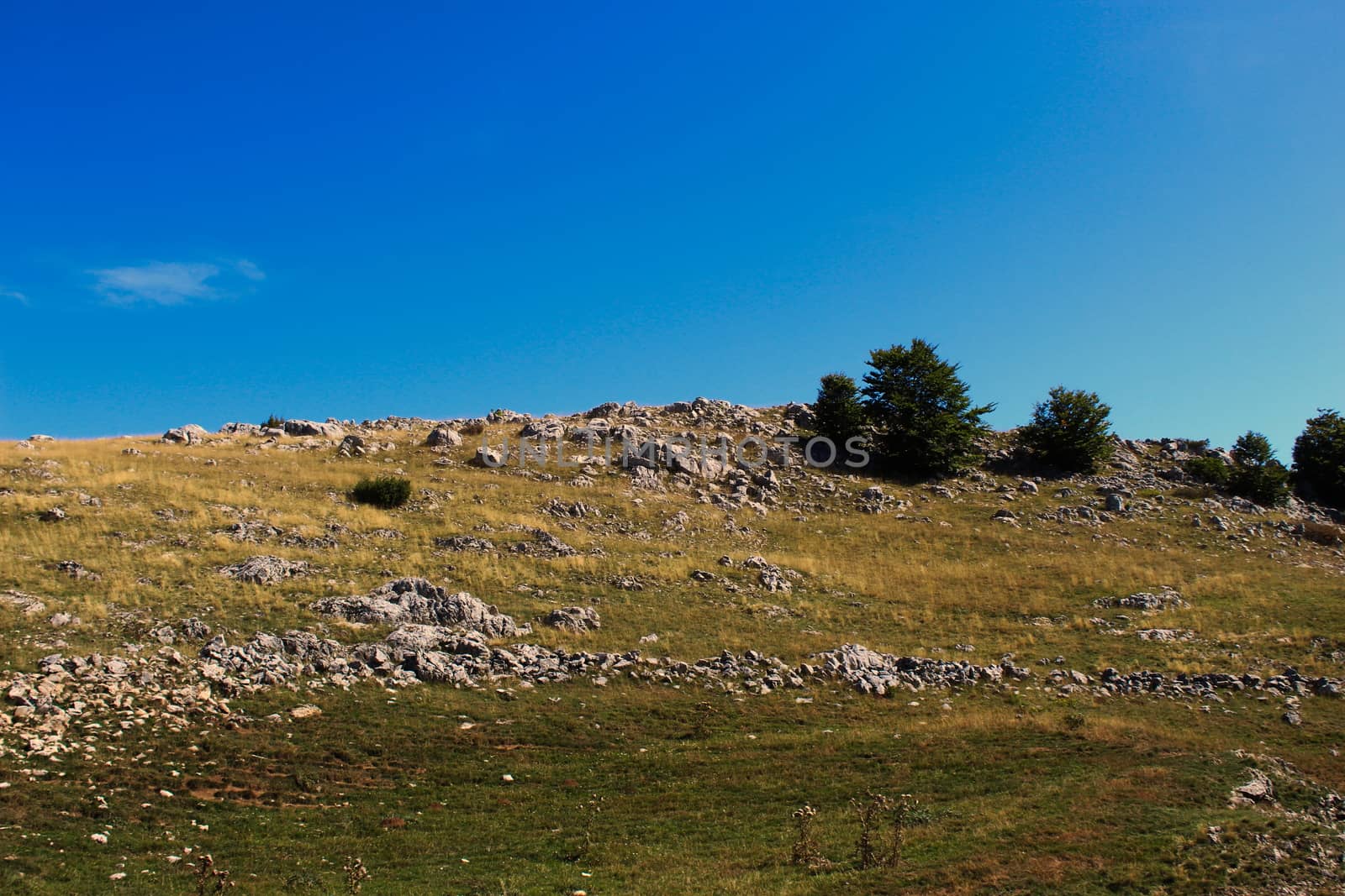Meadow, rocks, trees and sky background. Bjelasnica Mountain, Bosnia and Herzegovina.