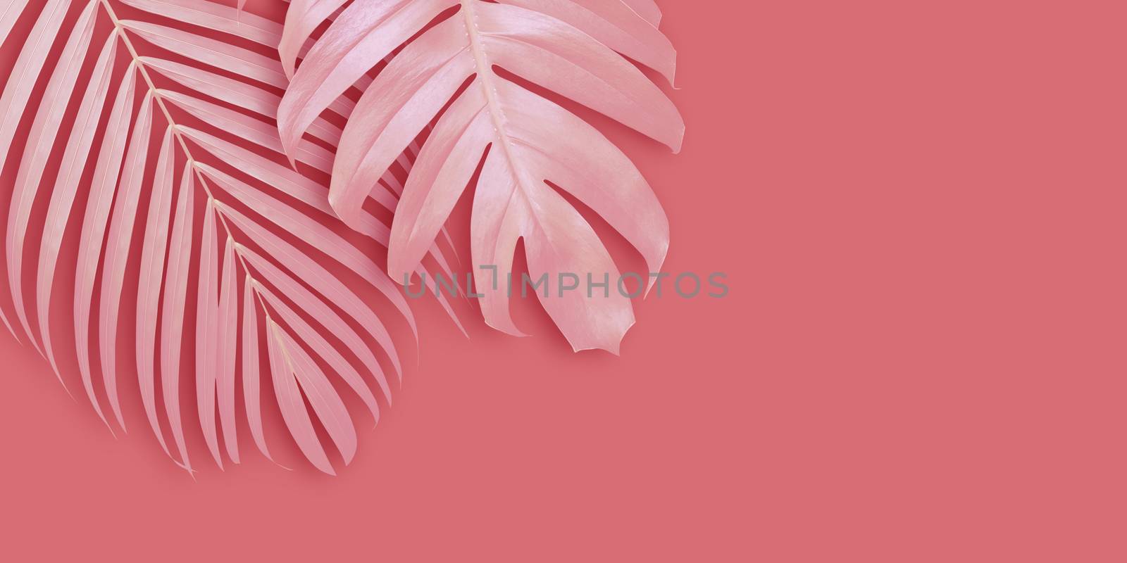 Tropical leaves banner background with copy space Minimal summer