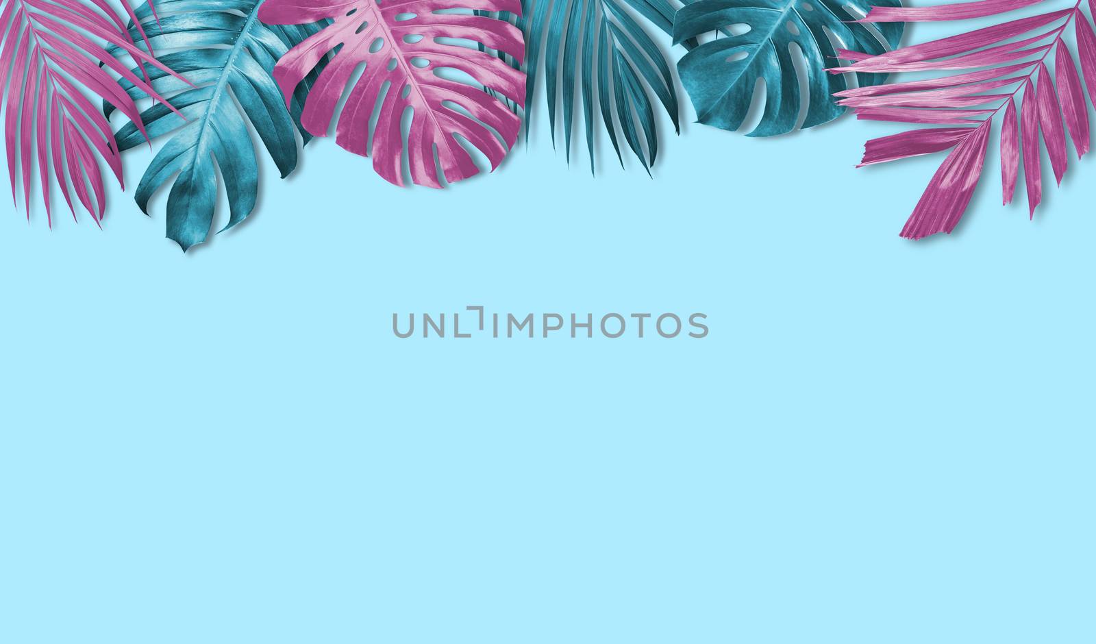 Tropical leaves banner background with copy space